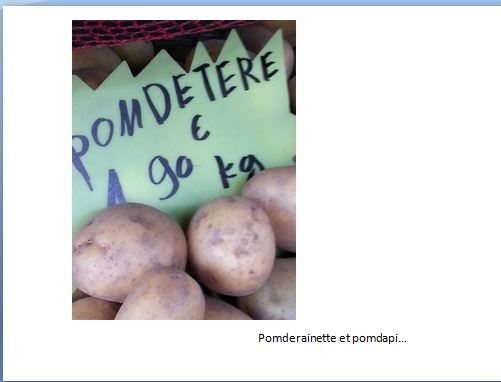 Humour en image du Forum Passion-Harley ... - Page 3 Captursfs